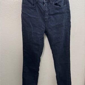 Anthropologie Navy Skinny Pants